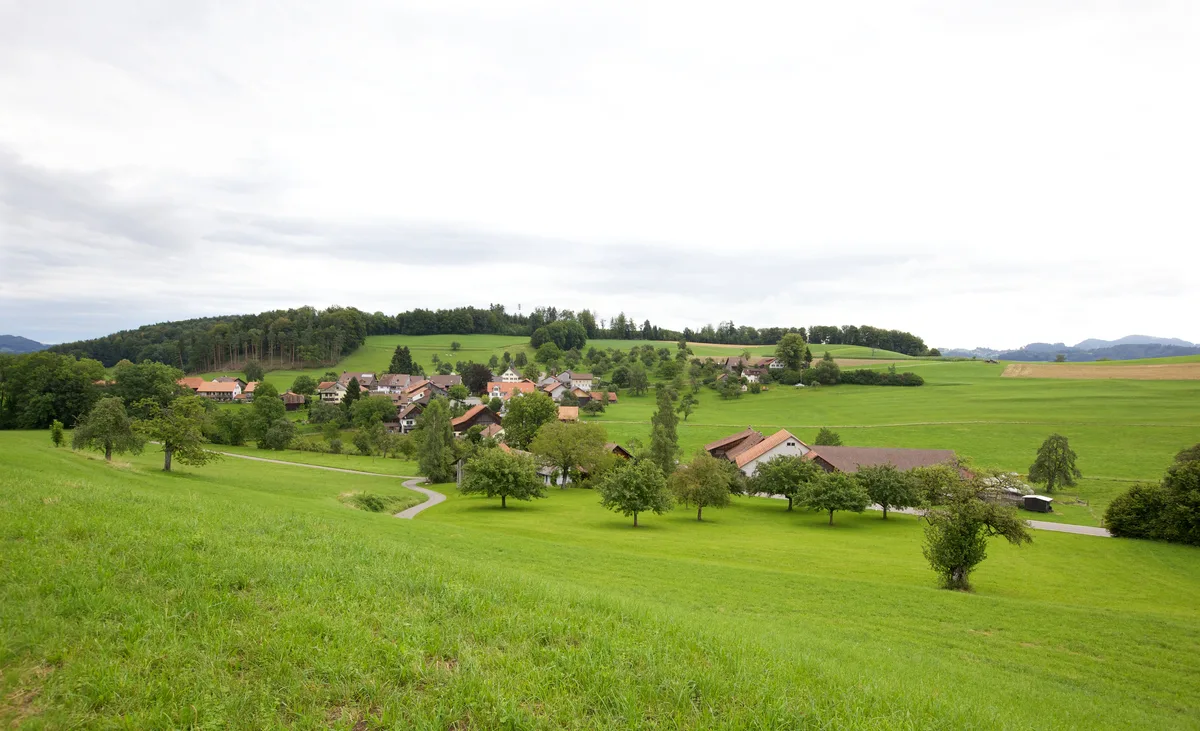 Blick auf Hermatswil, das von Weiden und Wäldern umgeben ist.